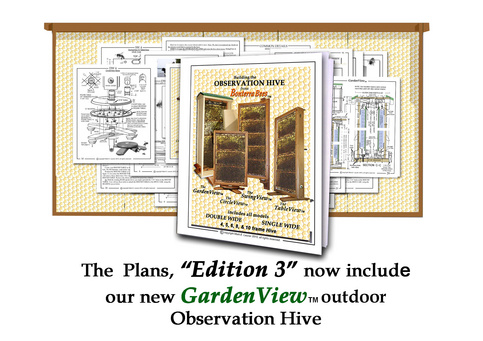 do it yourself observation hive plans
