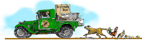 Observation bee hives for sale